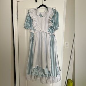 Alice in Wonderland costume size small